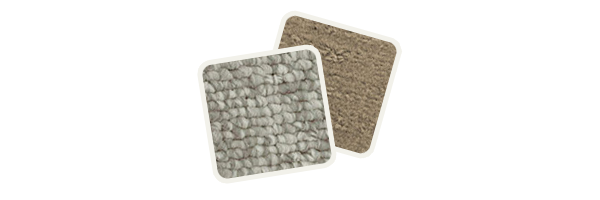 Snap-in Carpets