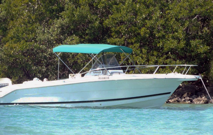 Toit bimini