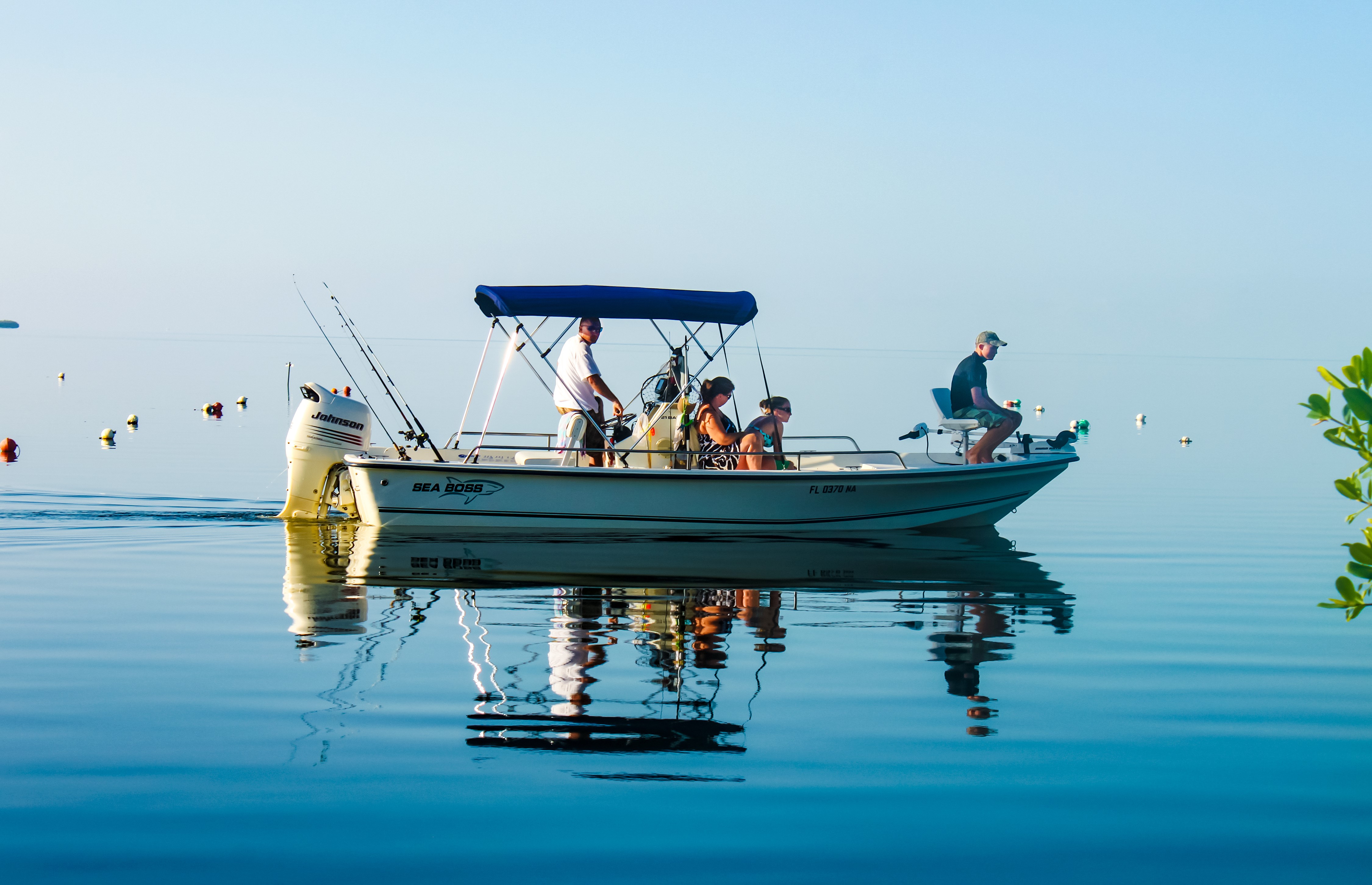 Bimini Tops