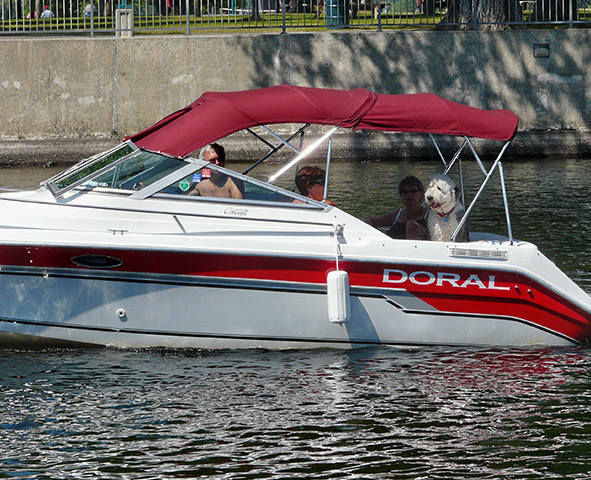 Réalisation Convertex